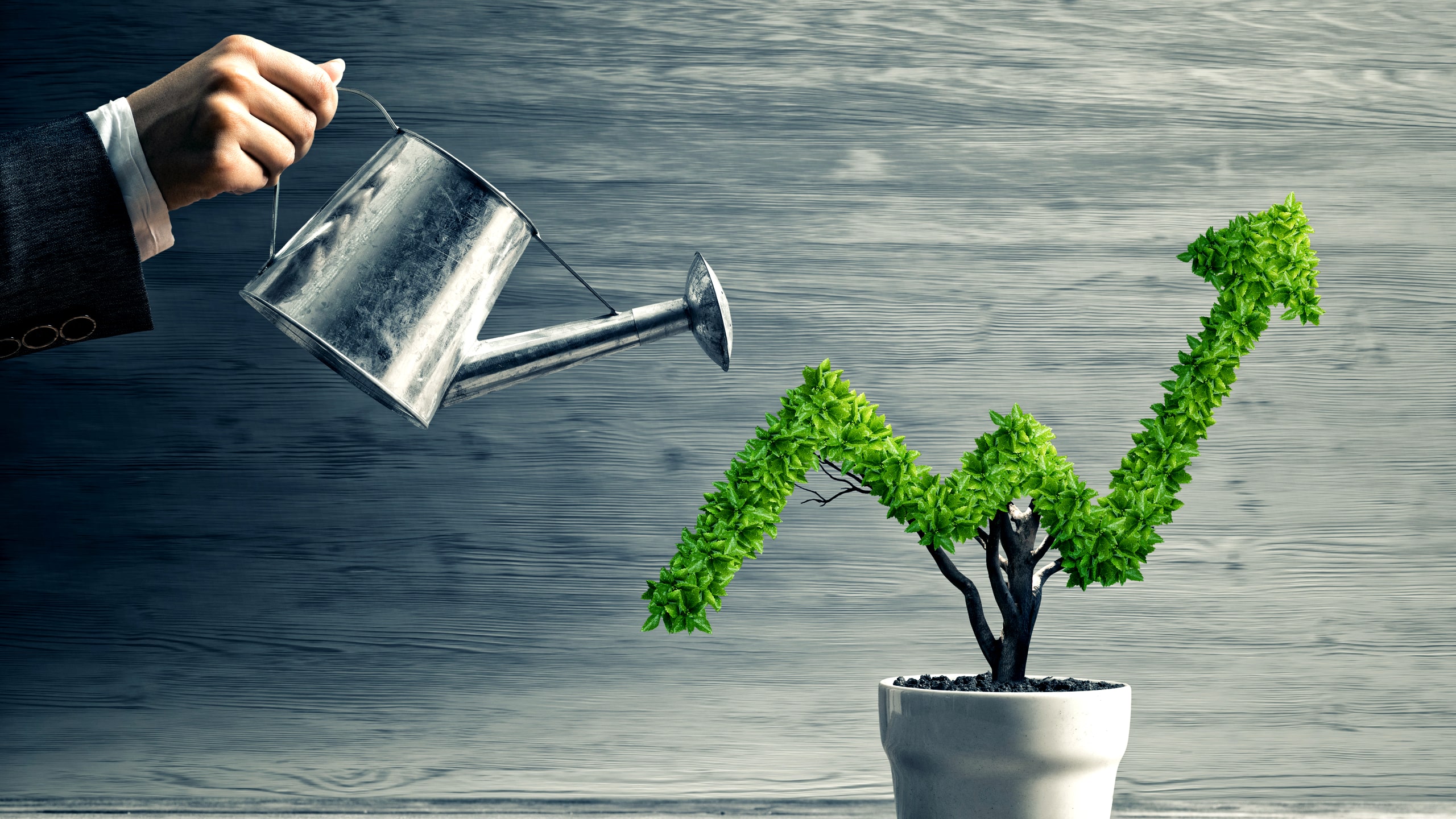 Grow Business