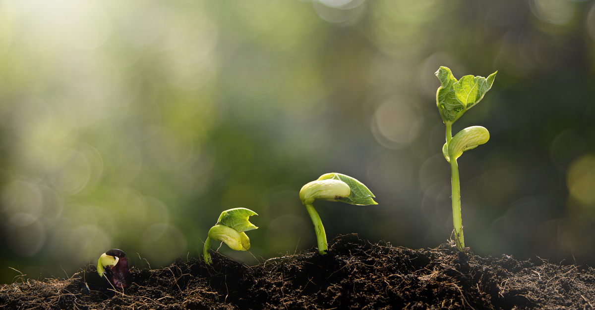 Embrace Slow Growth